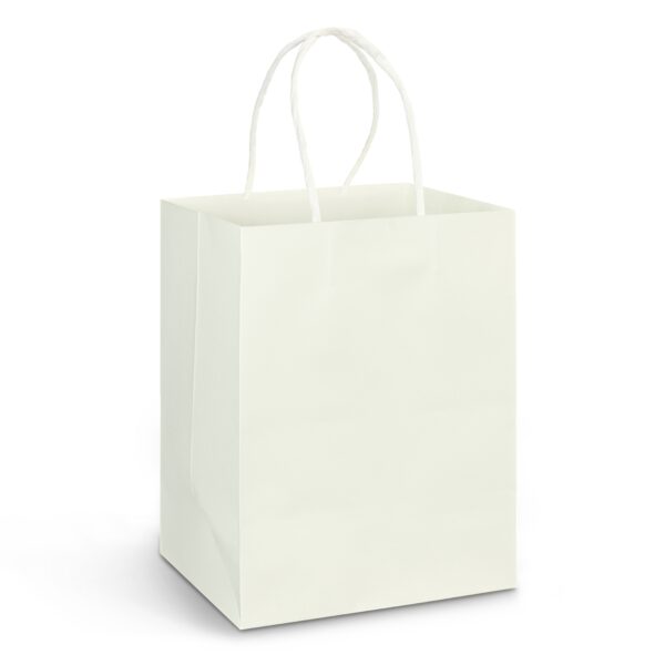 Custom Paper Carry Bags Large - Image 4