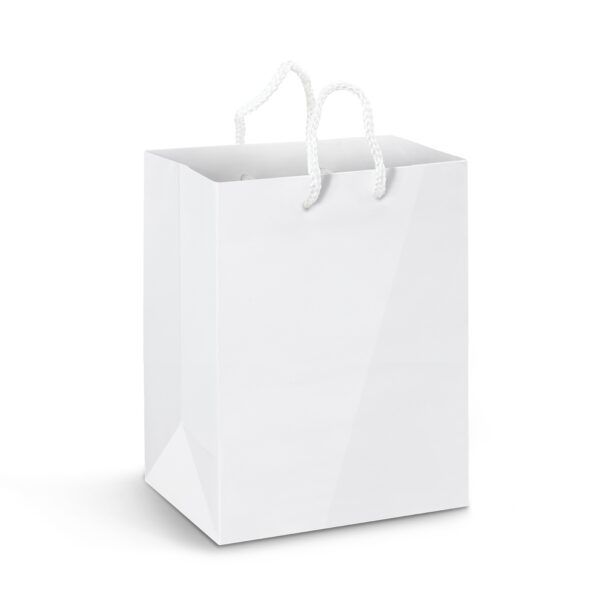 Laminated Large Custom Paper Bags