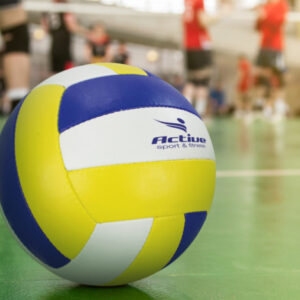 Pro Volleyball