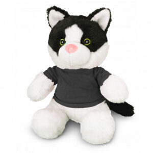 Cat Toy