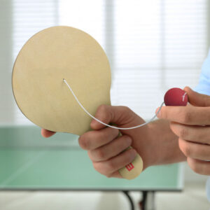 PaddlePlay Solo Game