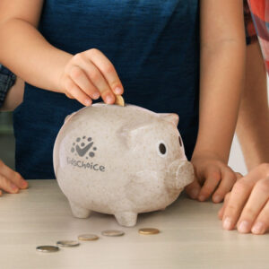 Savings Pig Natural