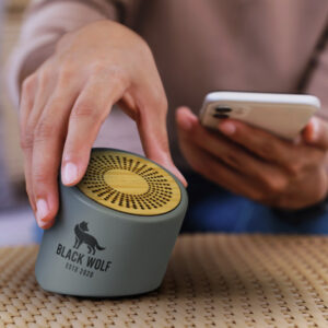Stone Sound Mini