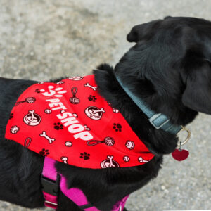 Large Pet Scarf