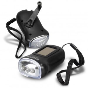 Solar Dynamo Light