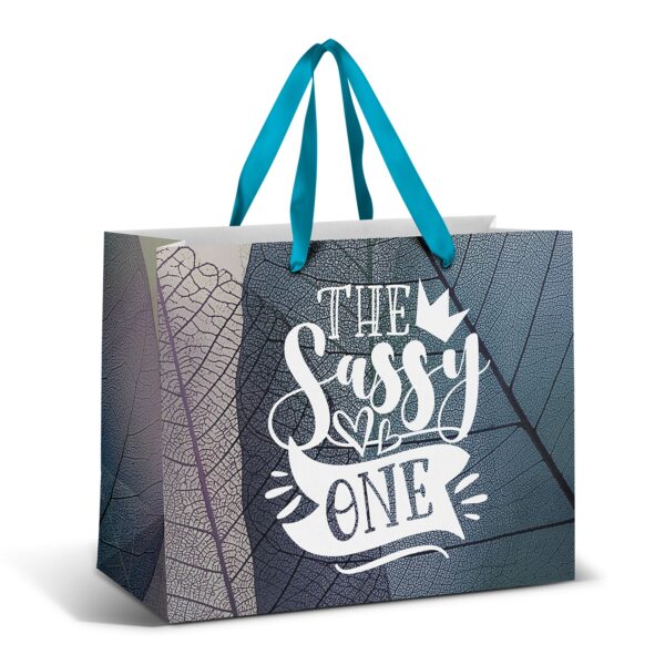 Colourful Ribbon Paper Bags - Large