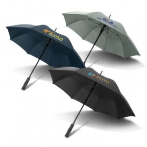 Cirrus Rain Shield