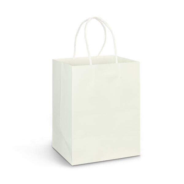 Custom Paper Carry Bags Large - Image 3