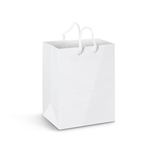 Laminated Large Custom Paper Bags - Image 3